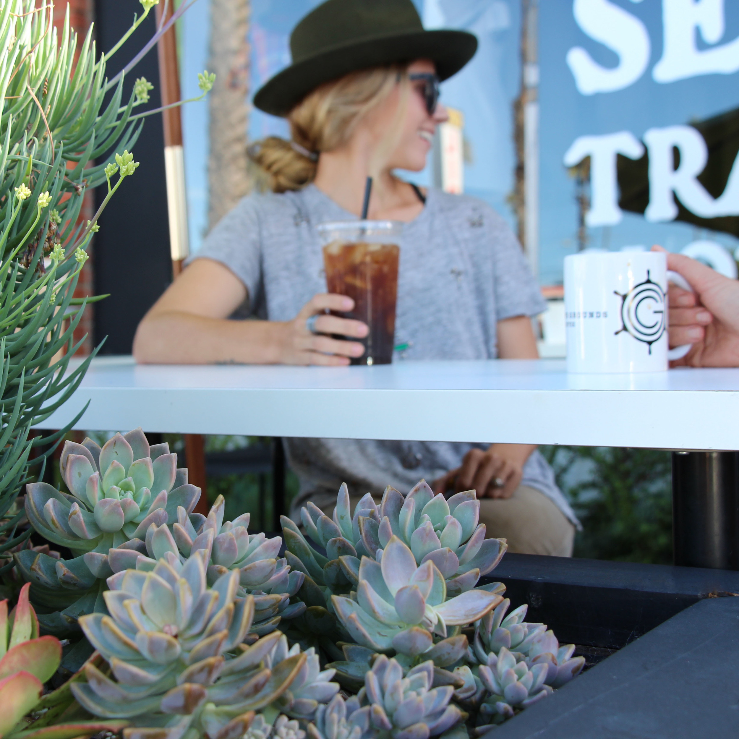 Succulents of Captains Grounds Coffee